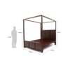 lgbkwos0019-king-teak-sagun-looking-good-furniture-na-walnut-original-imaebxup6asbhdda